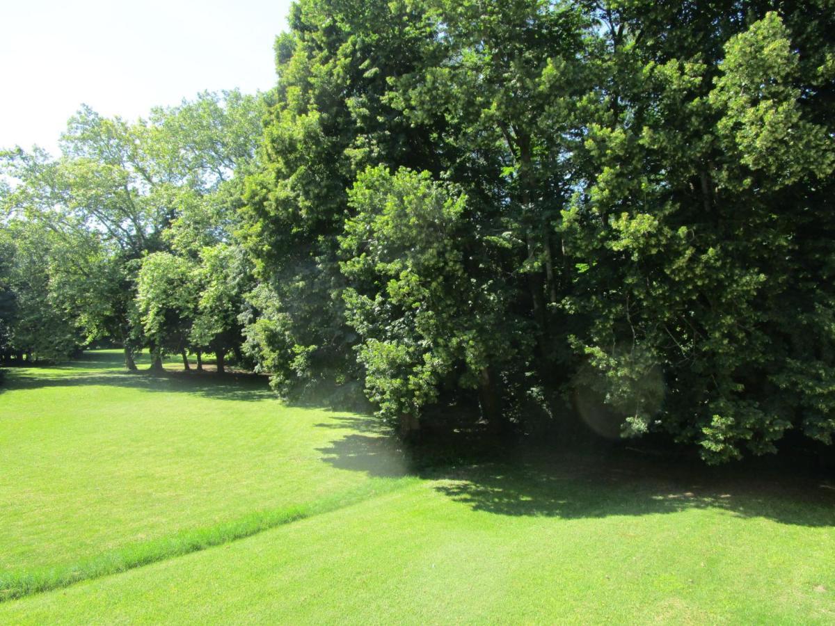 Ourches Domaine Des Chabriers B&B 외부 사진